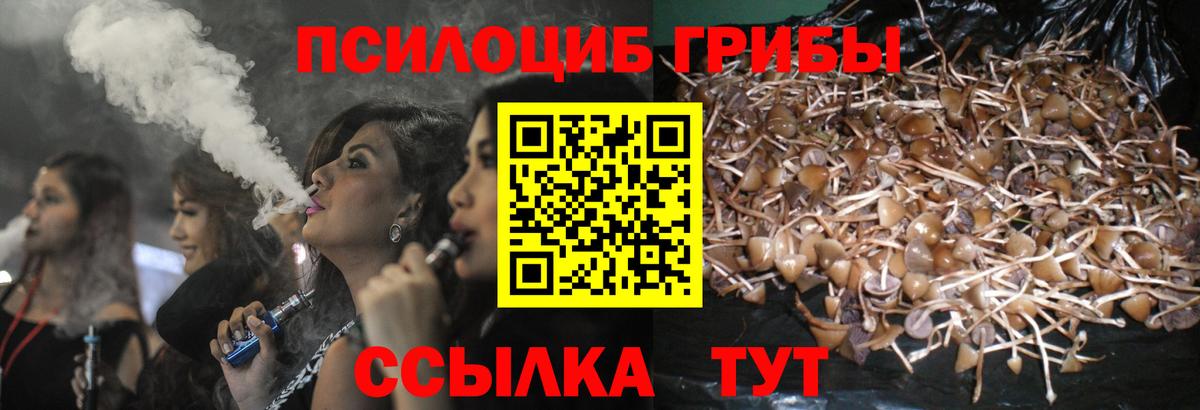Галлюциногенные грибы Psilocybine cubensis Богородск