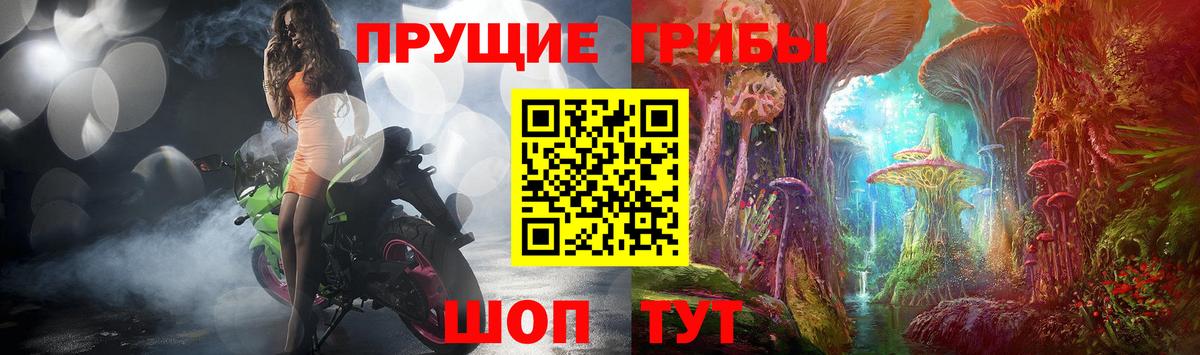 Богородск  Галлюциногенные грибы прущие грибы  Вход с VPN 